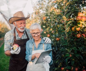 zwei Senioren betrachten einen Apfel und ihr Tablet - Makuladegeneration